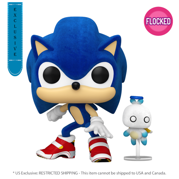 Sonic the Hedgehog - Sonic with Hero Chao Flocked Pop! Vinyl [RS]