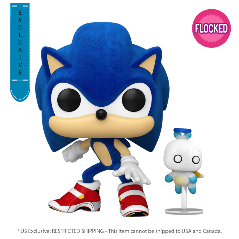 Sonic the Hedgehog - Sonic with Hero Chao Flocked Pop! Vinyl [RS]