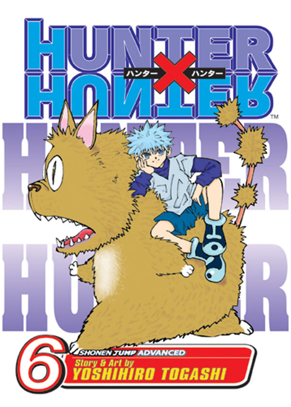 Manga - Hunter x Hunter, Vol. 6